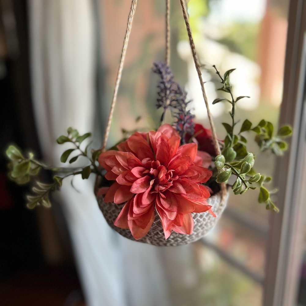 Succulent hanging decor